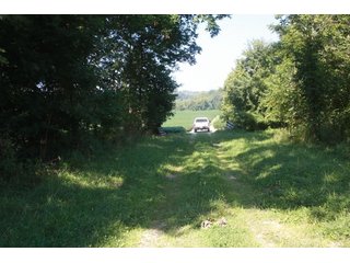 Property photo 2 - 130 Acres with 110 Acres Very Productive Land